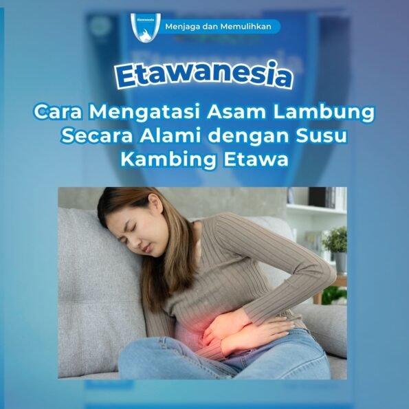 Cara mengatasi asam lambung secara alami dengan susu kambing etawanesia